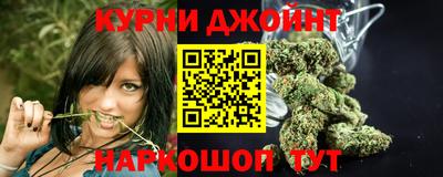 спиды Обь