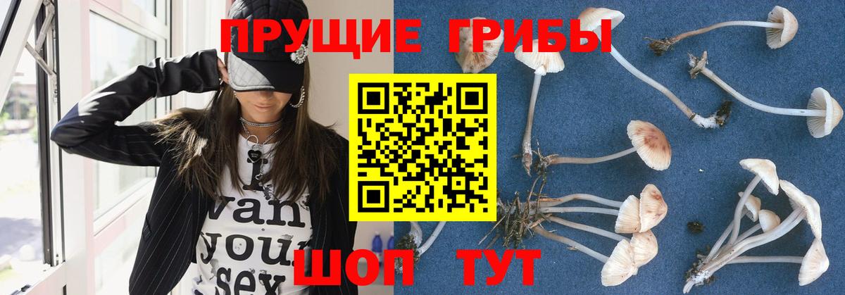 Сибай  Галлюциногенные грибы мицелий  Вход с VPN 